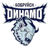 Dynamo Shinnik